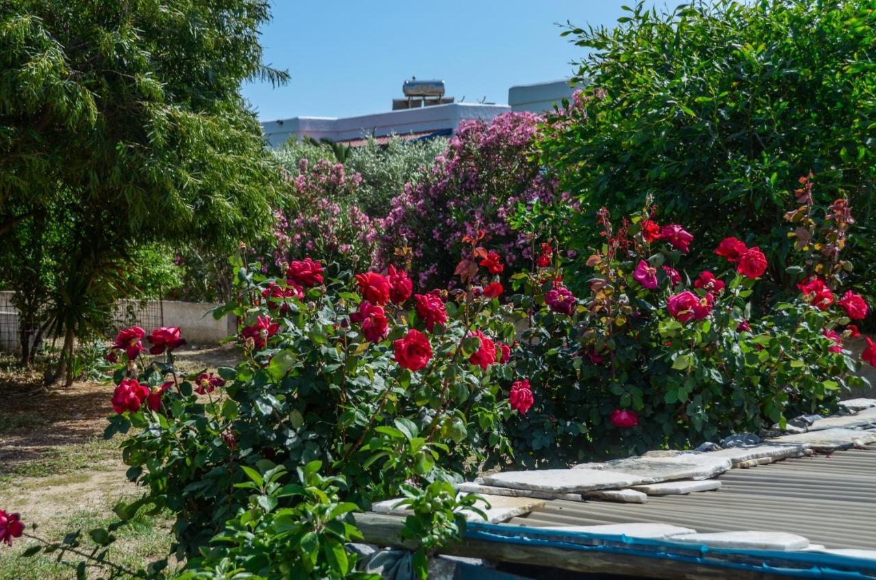 Golden Beach Glyfada Apartments Kastraki  Ngoại thất bức ảnh