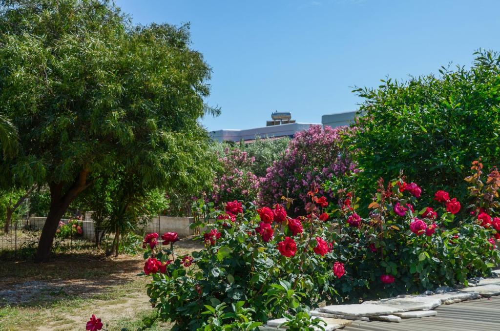 Golden Beach Glyfada Apartments Kastraki  Ngoại thất bức ảnh